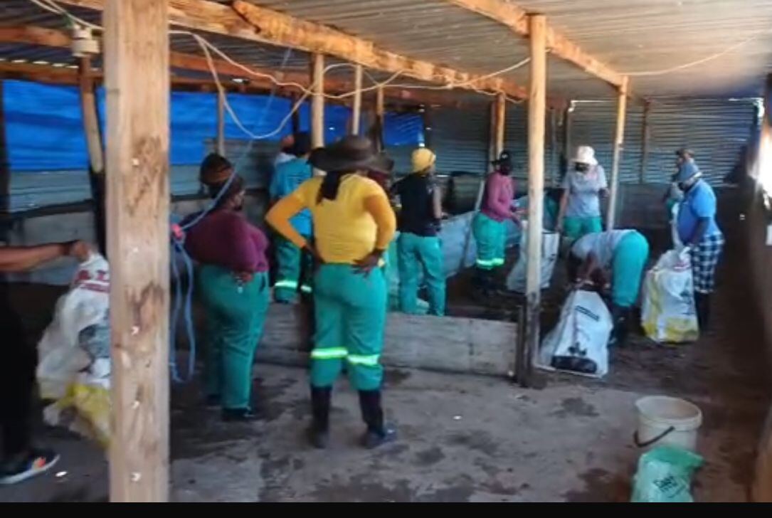 Learners in green workwear and reflective stripes during the practical workplace component at a host employer site.